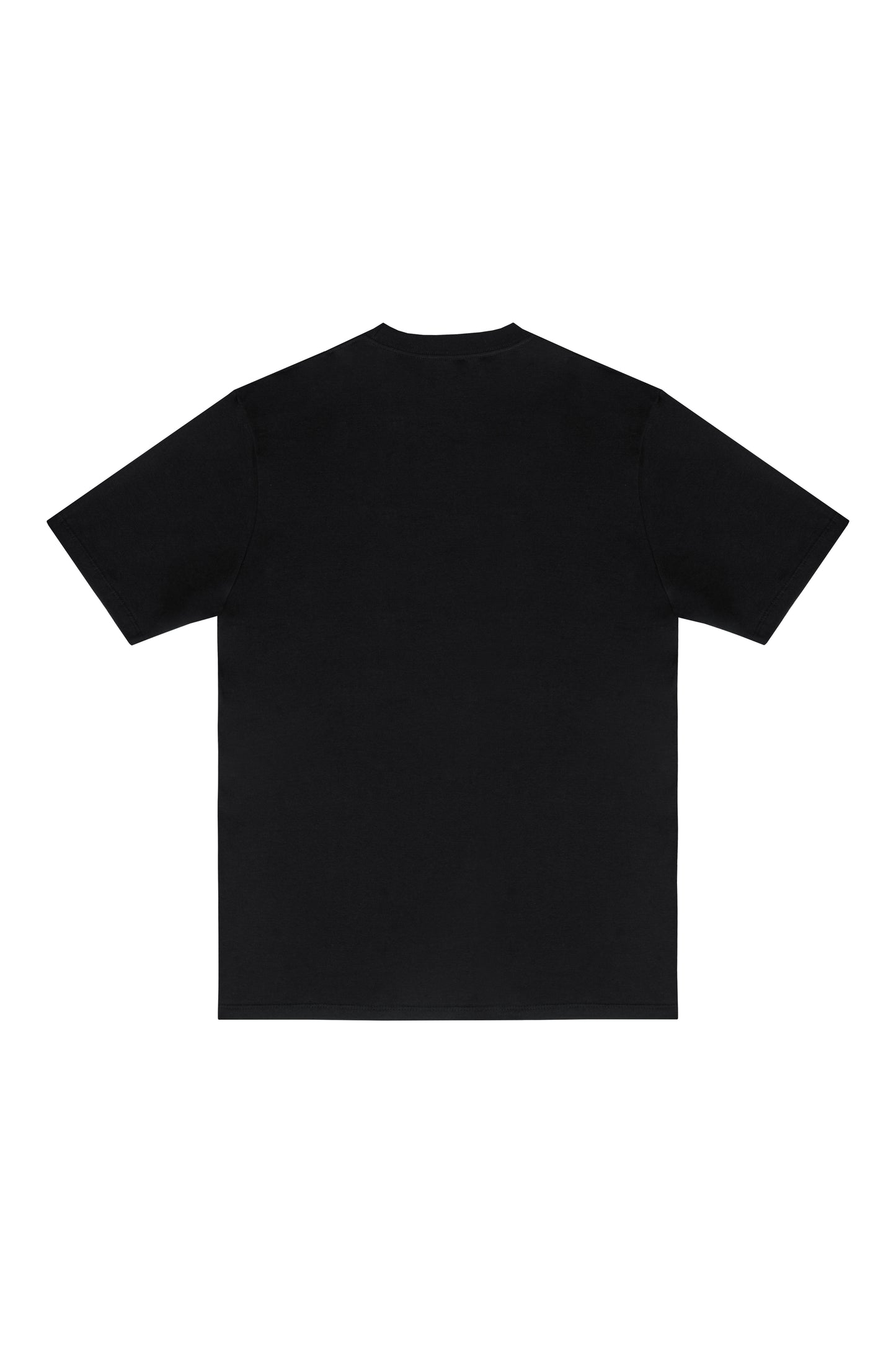 CAMISETA "ARC LOWER" BLACK