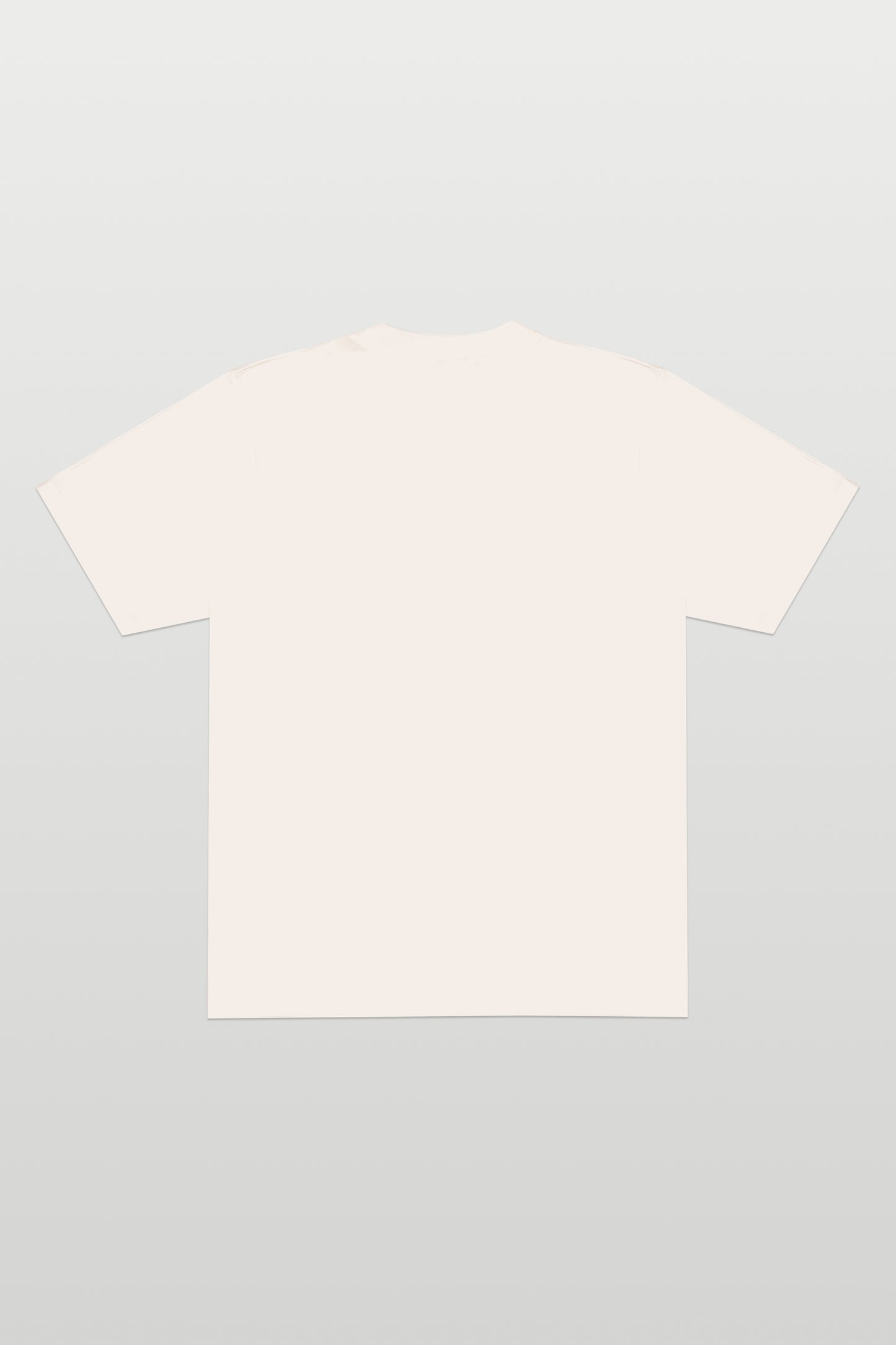 CAMISETA "FOSSIL ROCK" OFF WHITE