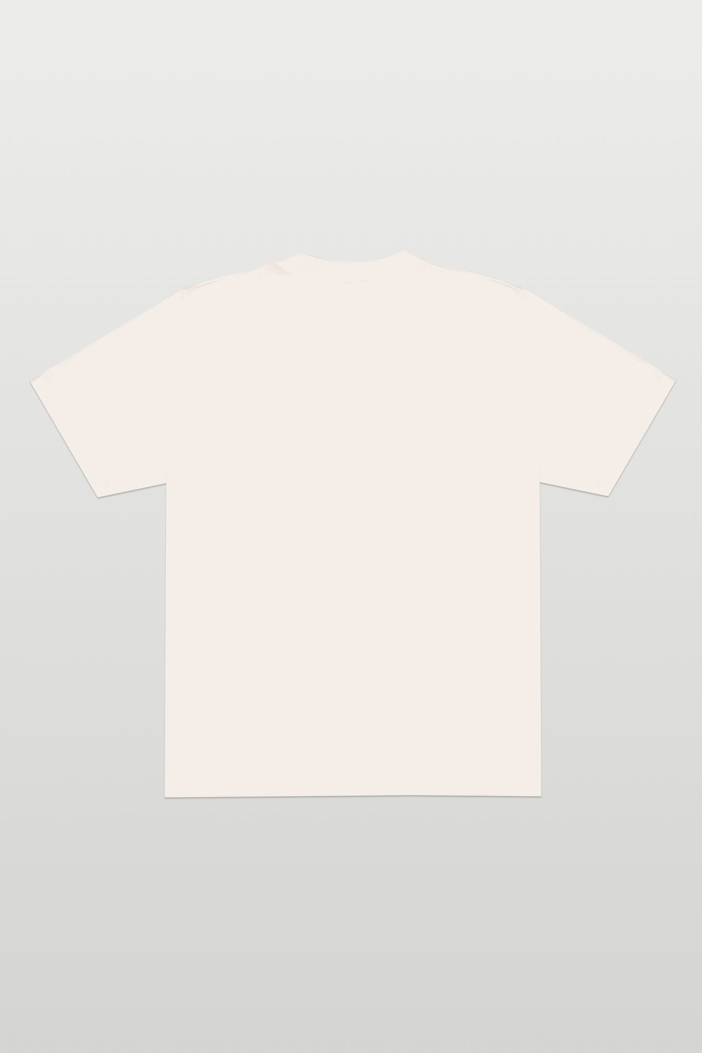 CAMISETA "SIGNATURE" OFF WHITE
