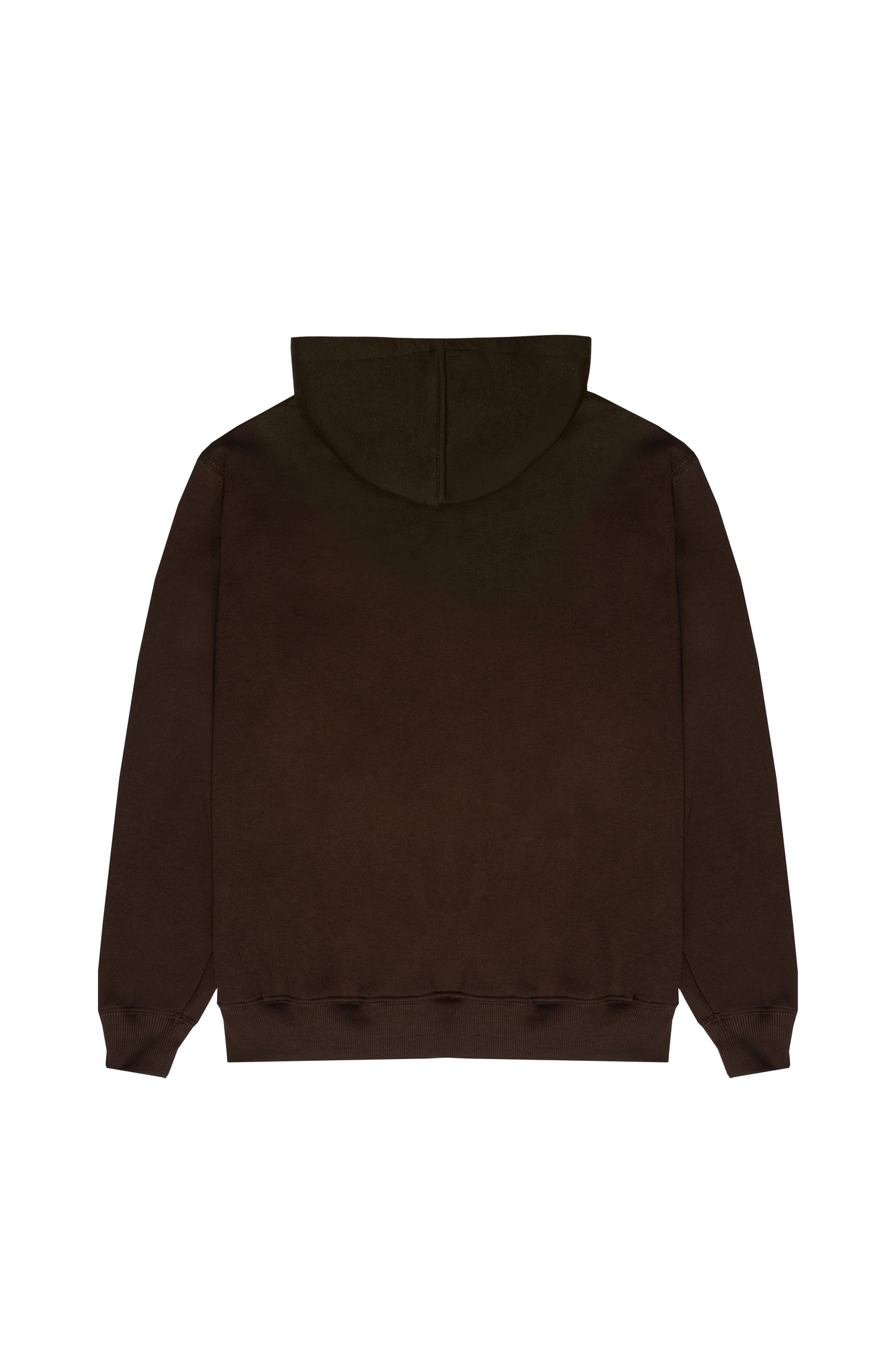 MOLETOM HOODIE "PLNC COLLEGE" BROWN