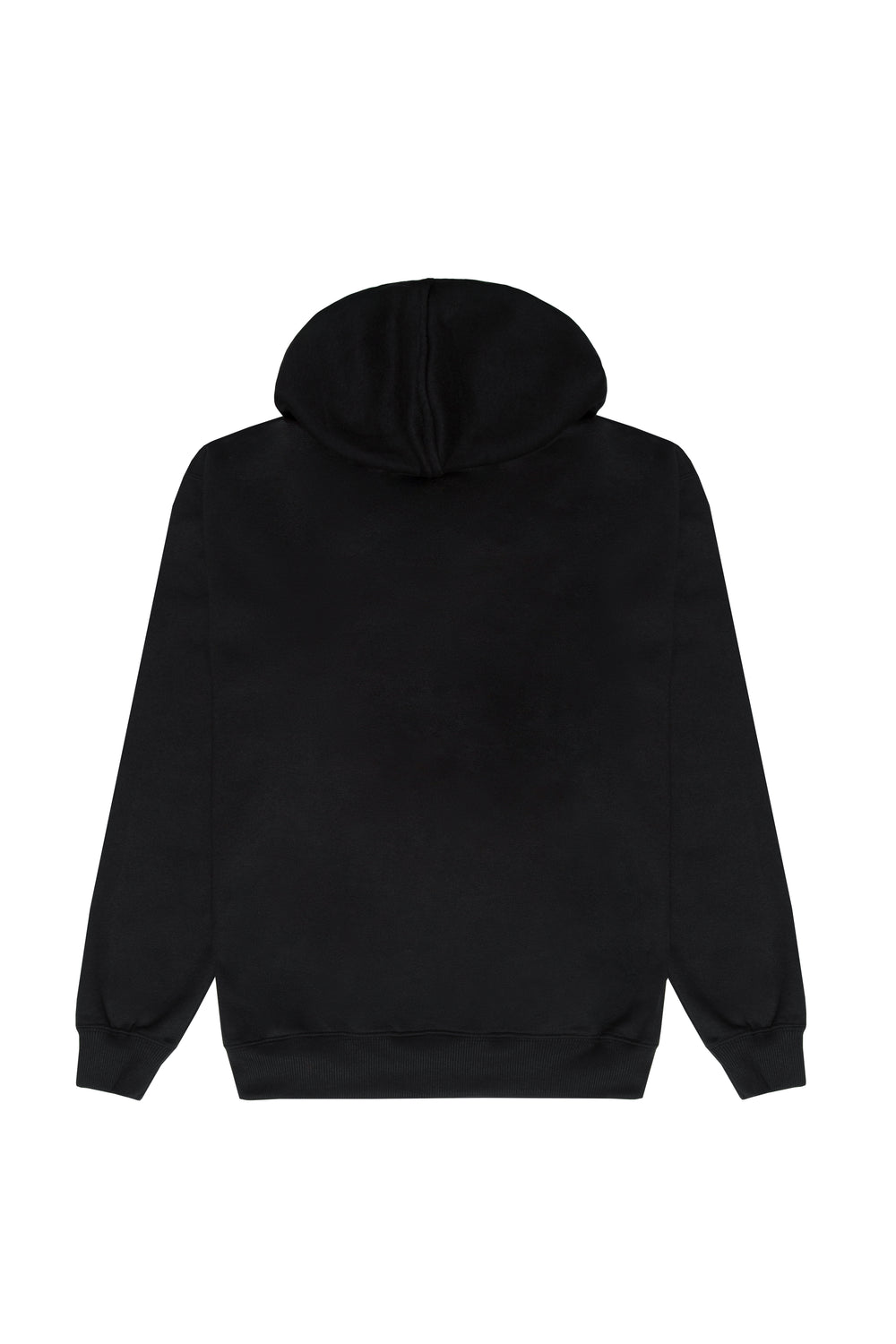 MOLETOM HOODIE "PLNC COLLEGE" BLACK