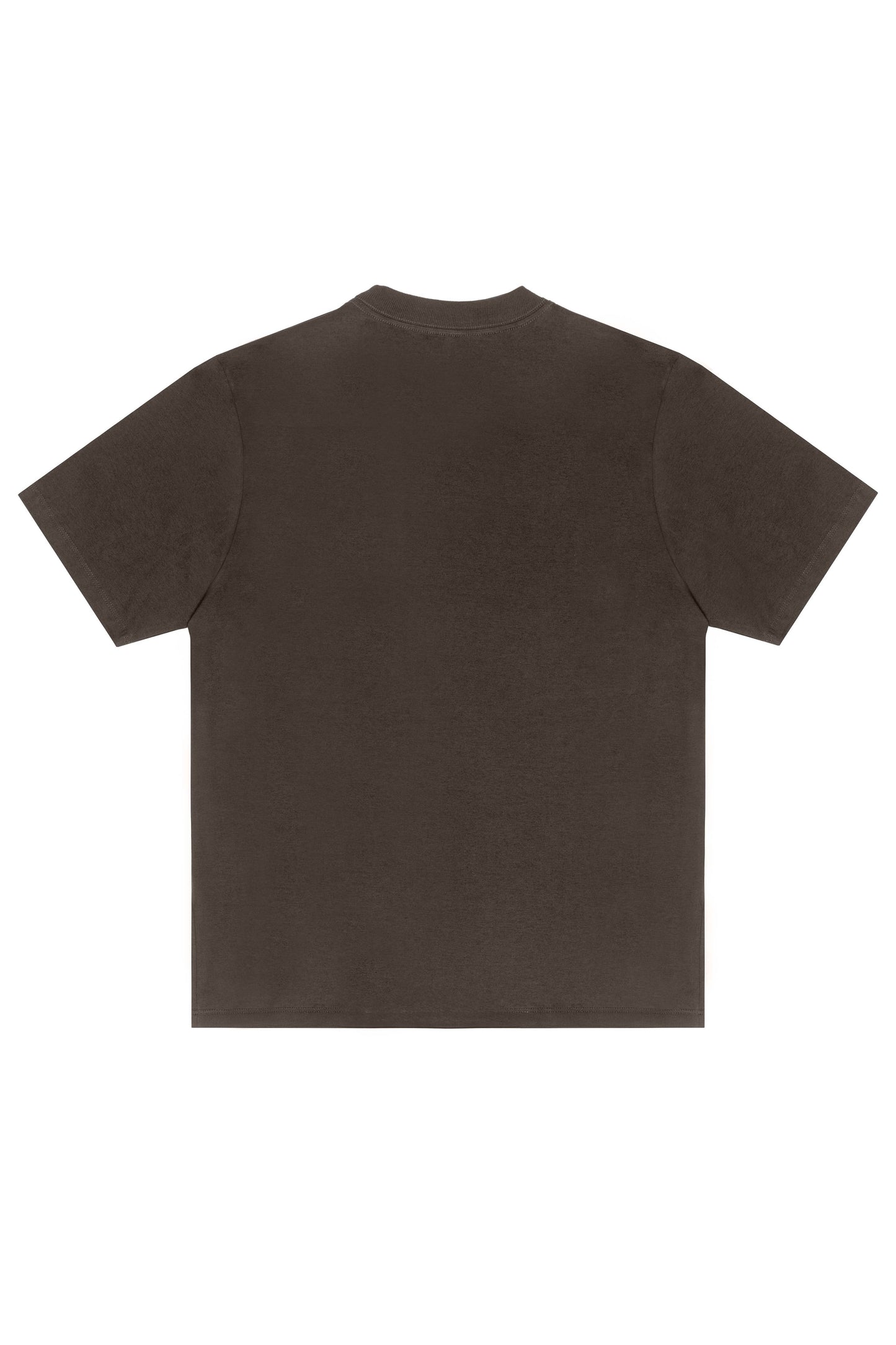 CAMISETA "DRAGON" BROWN