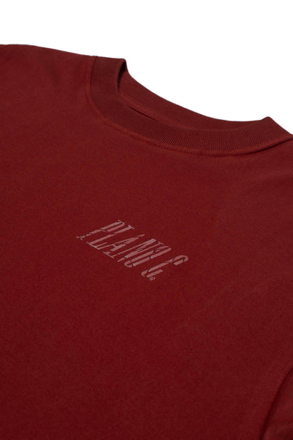 CAMISETA "BROKEN GLASS" BARN RED