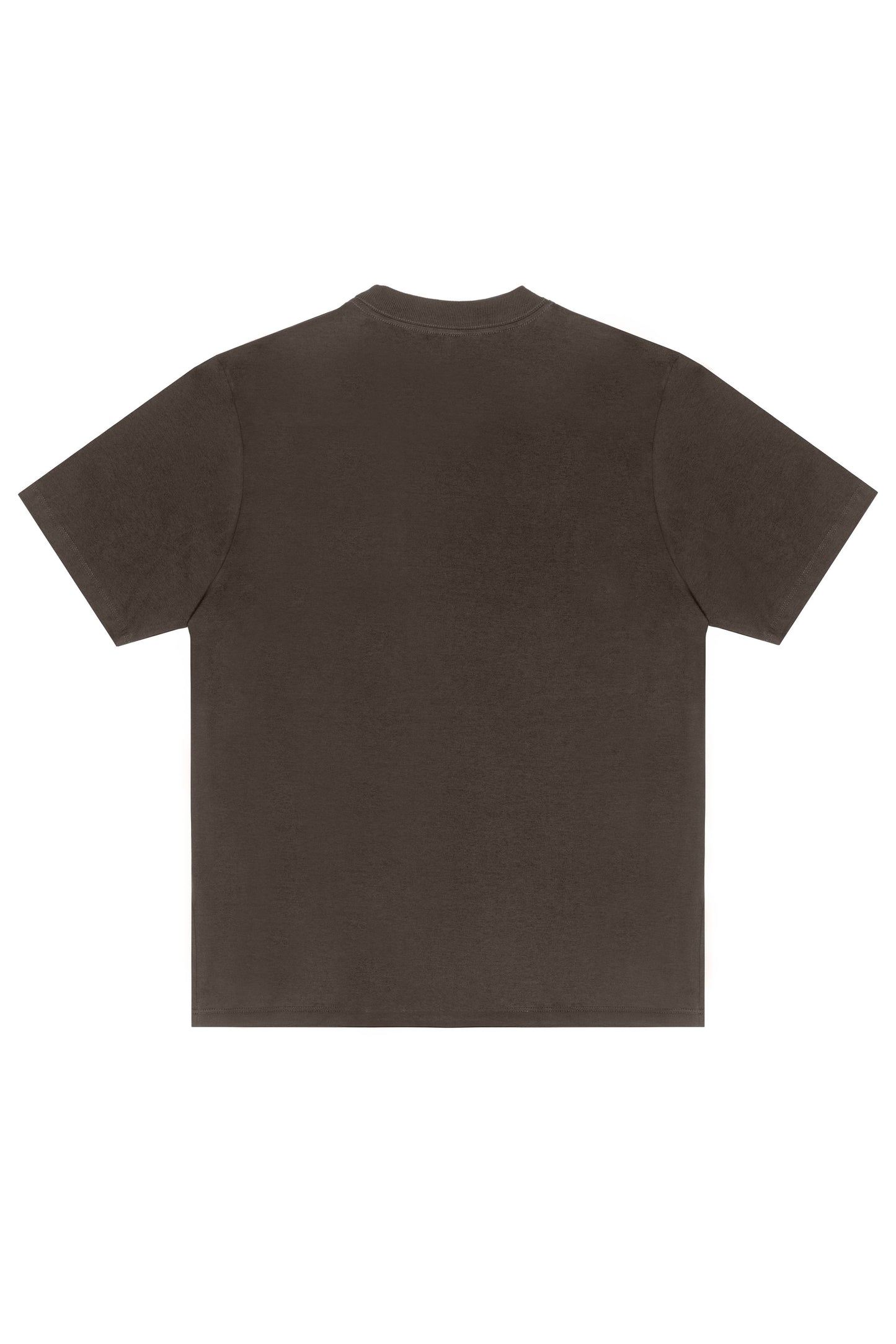 CAMISETA "GRADIENT" BROWN