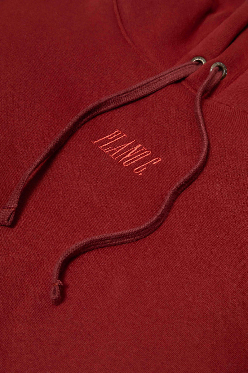 MOLETOM HOODIE "LOGO" BARN RED