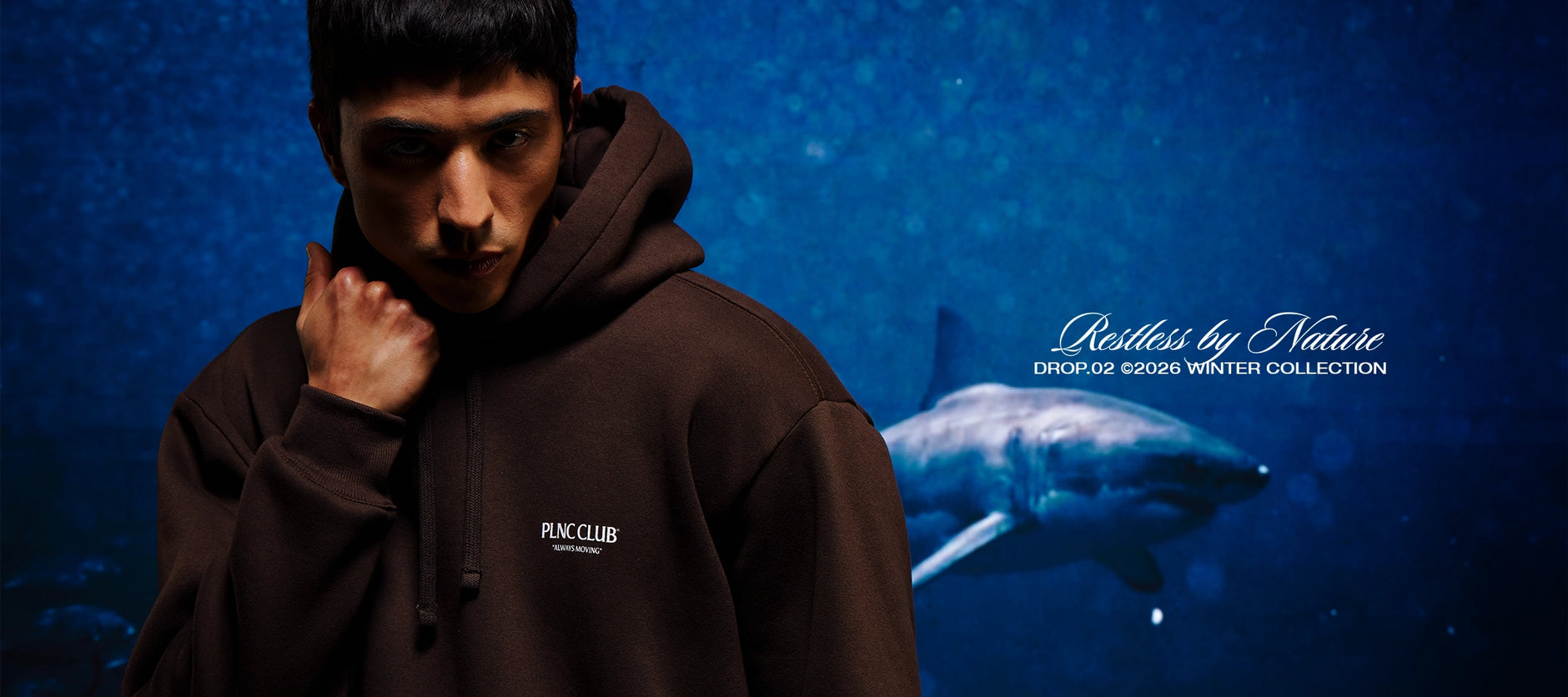 Banner Restless by Nature