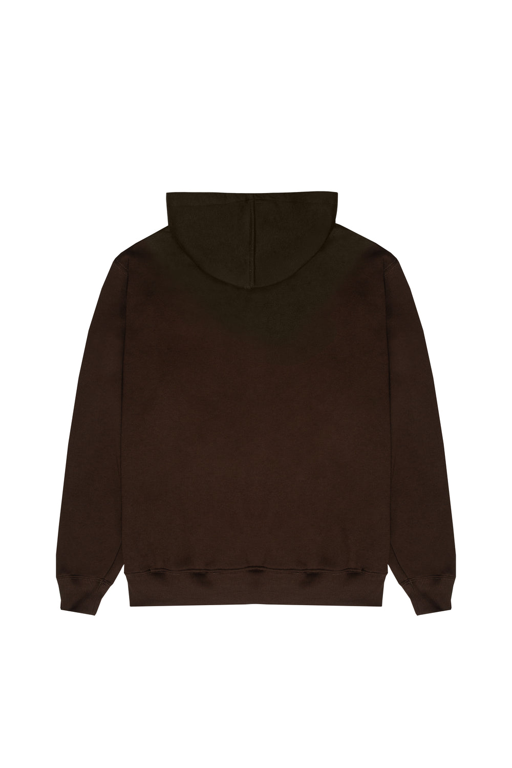 MOLETOM HOODIE "PLNC COLLEGE" BROWN